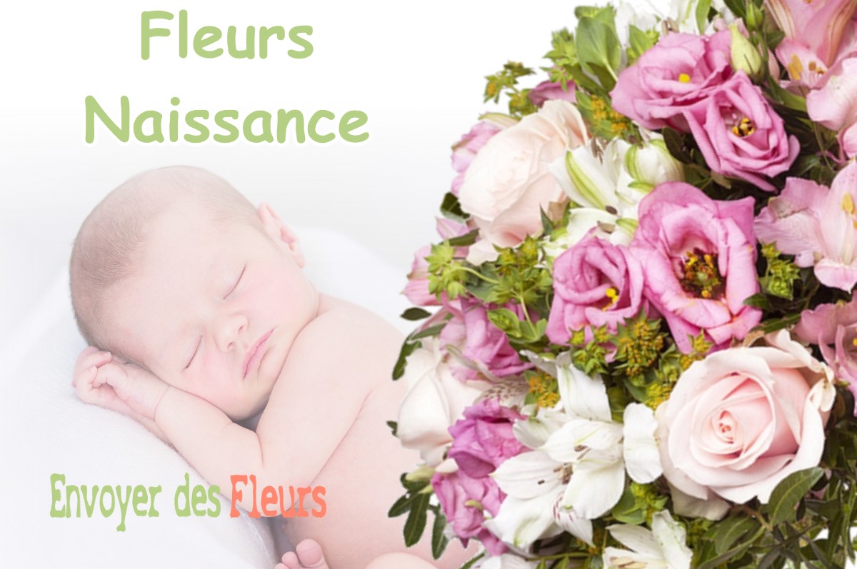 lIVRAISON FLEURS NAISSANCE à DORDIVES